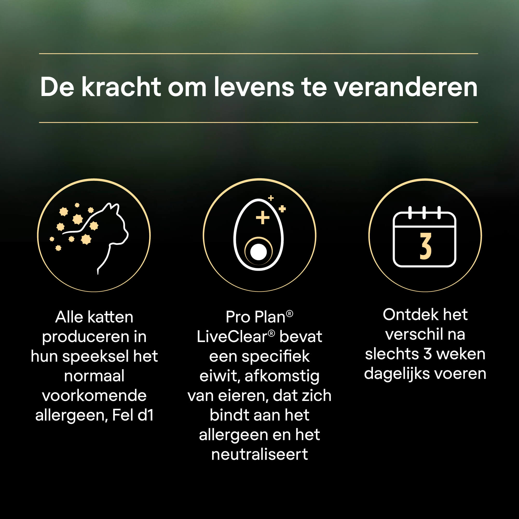 Pro Plan® LiveClear® kattenvoer | Purina